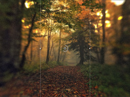 Cinque filtri per ottenere effetti combinati molto articolati Figura 4. Qui è visibile anche la struttura del filtro Scostamento inclinazione, con le linee tratteggiata/continua che delimitano l’area di intervento dell’effetto. Trascinando sulle linee si modifica l’intervallo, trascinando gli indicatori tondi si modifica l’angolo di rotazione.