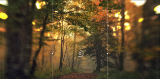 Cinque filtri per ottenere effetti combinati molto articolati Figura 4. Qui è visibile anche la struttura del filtro Scostamento inclinazione, con le linee tratteggiata/continua che delimitano l’area di intervento dell’effetto. Trascinando sulle linee si modifica l’intervallo, trascinando gli indicatori tondi si modifica l’angolo di rotazione.