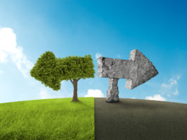 Le certificazioni e i marchi ecologici e a difesa dell’ambiente