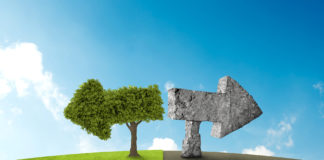 Le certificazioni e i marchi ecologici e a difesa dell’ambiente