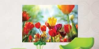 Agfa Graphics promuove l’integrazione della stampa nei processi produttivi