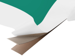 Fusion Uncoated, il liner in fibre vergini non patinato di Sappi