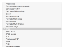 Con quale formato (mi) salvo?