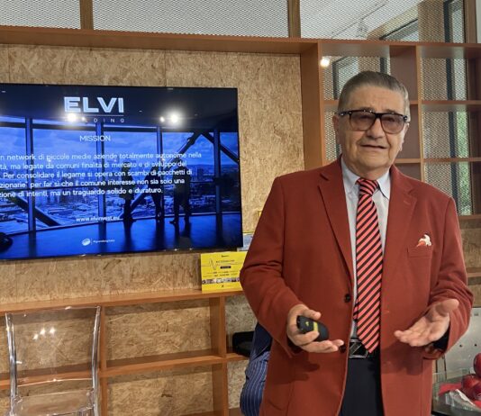 Guandong, la nuova strategia punta a un network di aziende complementari