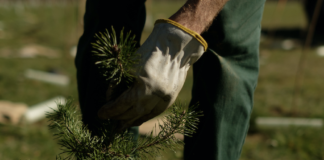 HP supporta il progetto Forestami