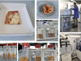 Contatto con alimenti, valutare il rischio