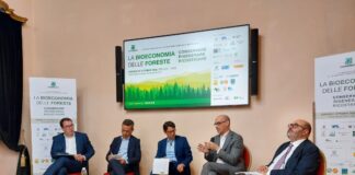 Federazione Carta e Grafica partner del V Forum di Legambiente sulla gestione forestale sostenibile