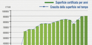 Editoria: la scelta della certificazione