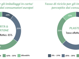 PPWR ed economia circolare, la carta tra regolamenti e standard