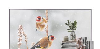 LG, digital signage ad alta trasparenza per spazi retail, culturali e professionali