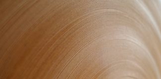 Resilienza e innovazione: l’industria cartaria europea accelera sulla transizione verde