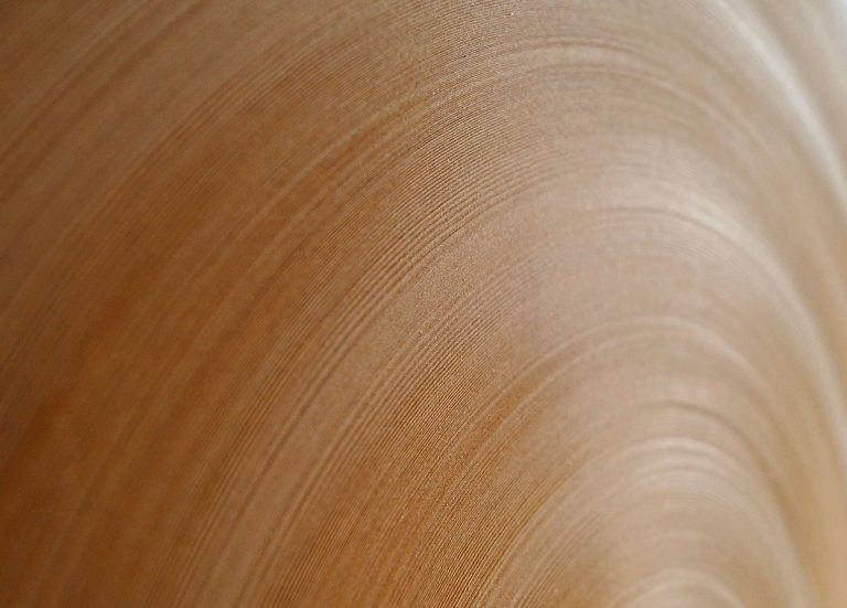 Resilienza e innovazione: l’industria cartaria europea accelera sulla transizione verde